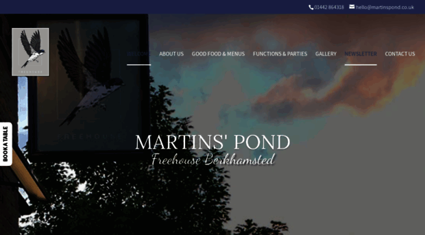 martinspond.com