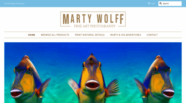 martywolff.com