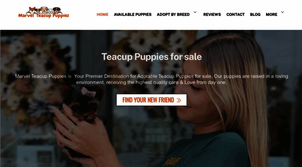 marvelteacuppuppies.com