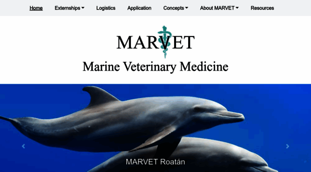 marvet.org