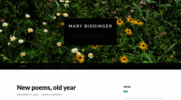 marybiddinger.com