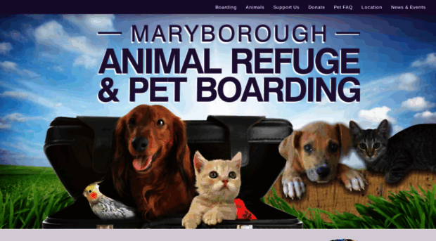 maryboroughanddistrictanimalrefuge.com