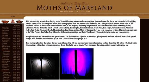 marylandmoths.com