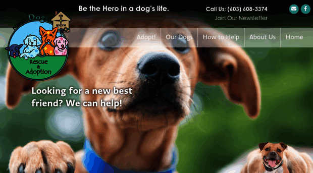 marysdogs.org