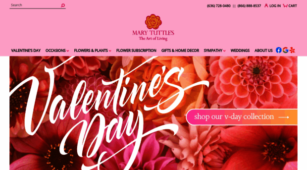 marytuttlesflowers.com