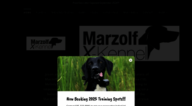 marzolfxkennel.com