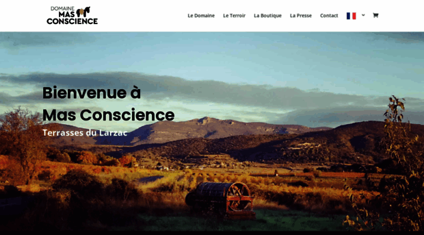 mas-conscience.com