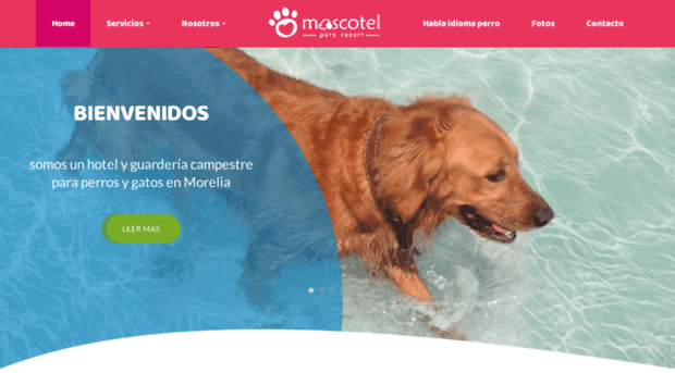 mascotel.com.mx