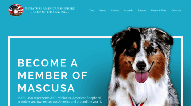mascusa.org