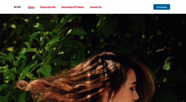 masegroup.com