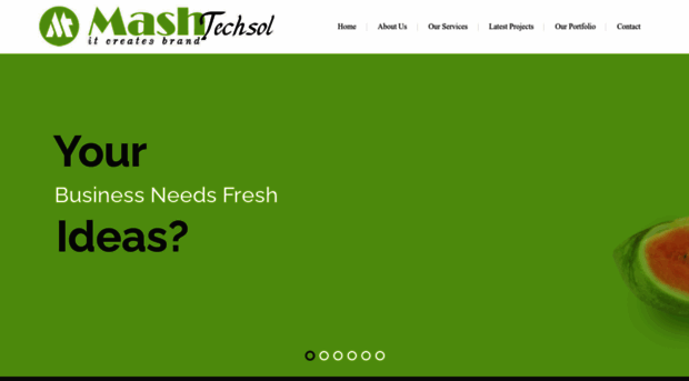 mashtechsol.com