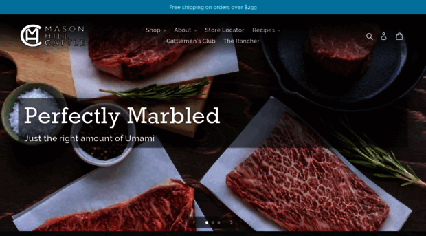 masonhillcattle.com