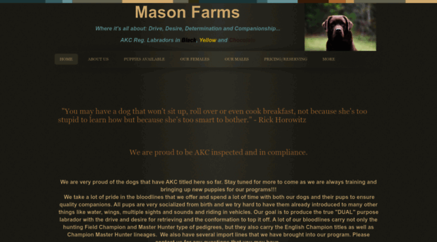 masonsfarms.com
