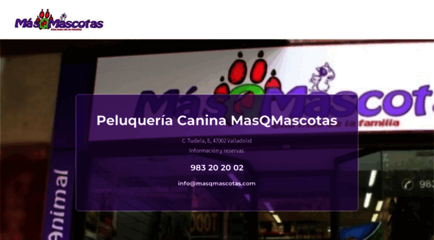 masqmascotas.com