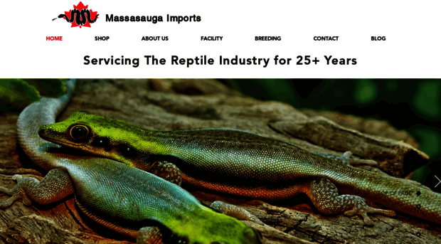 massasaugaimports.com