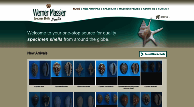 massier-seashells.com