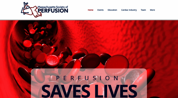 massperfusion.com