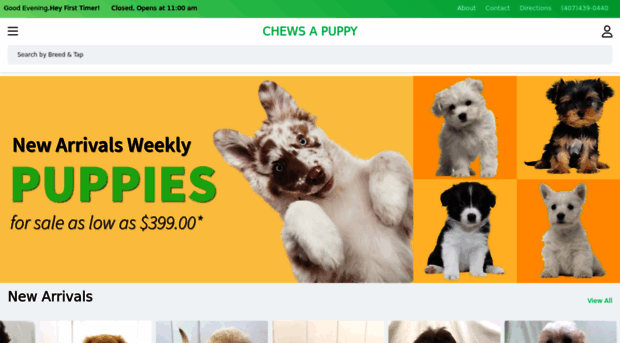 masspuppiesforsale.com