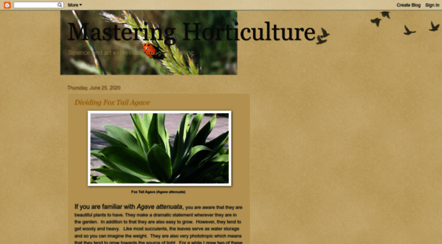 masteringhorticulture.blogspot.ro