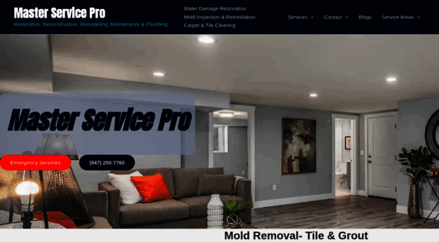 masterservicepro.com