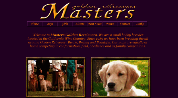 mastersgoldenretrievers.com