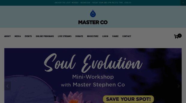 masterstephenco.com