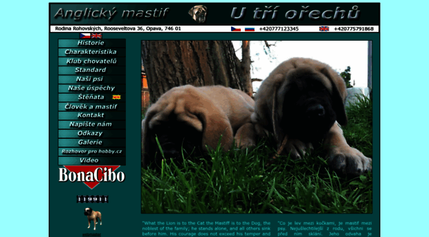 mastiff.cz