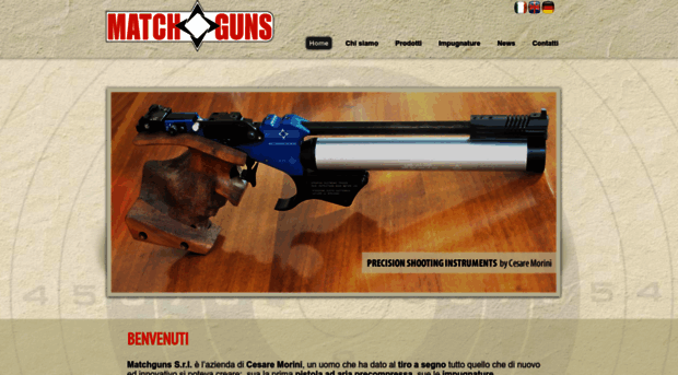 matchguns.com