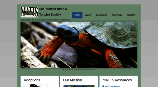 matts-turtles.org