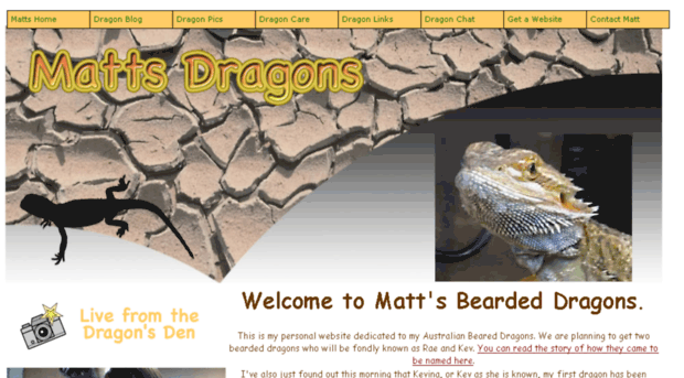 mattsdragons.co.uk