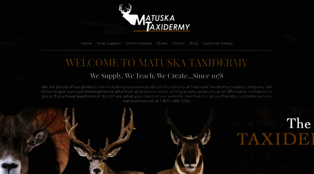 matuskataxidermy.com