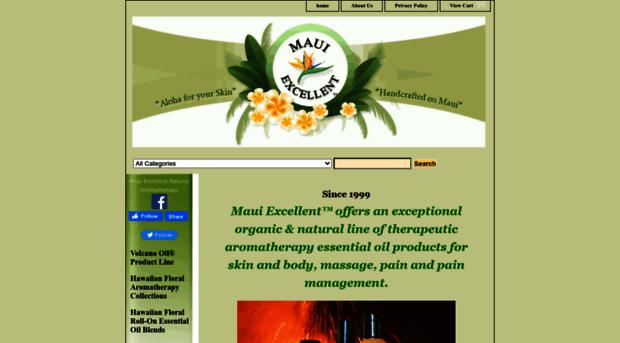 mauiexcellent.com