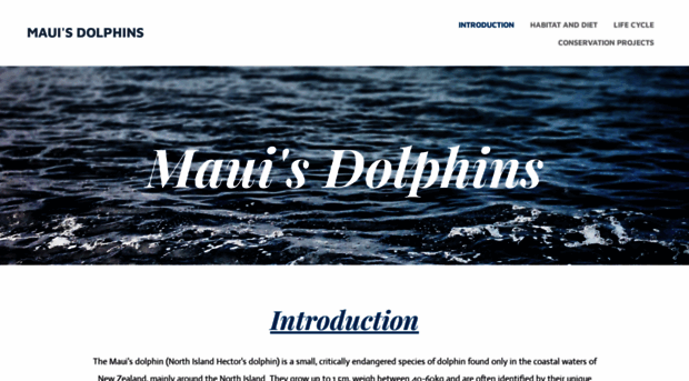 mauis-dolphins.weebly.com