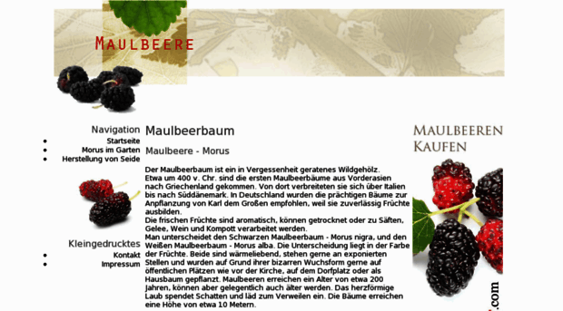 maulbeerbaum.org