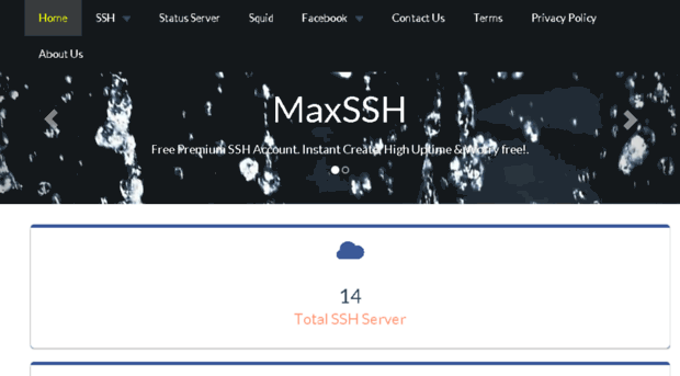 maxssh.com