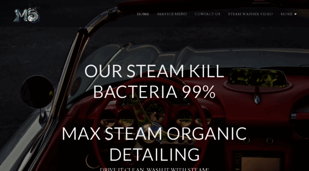 maxsteaminc.com