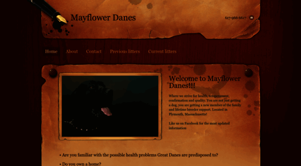 mayflowerdanes.weebly.com