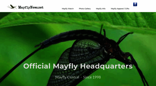 mayflynews.net
