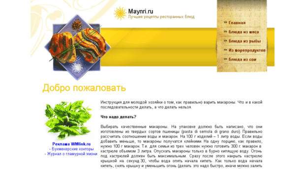 maynri.ru