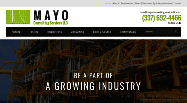 mayoconsultingservicesllc.com