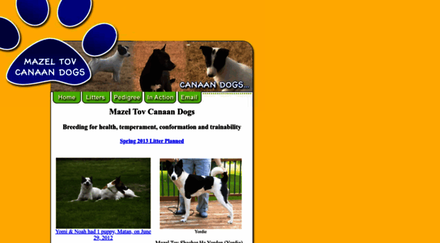 mazeltovcanaandogs.com