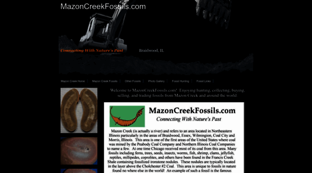 mazoncreekfossils.com