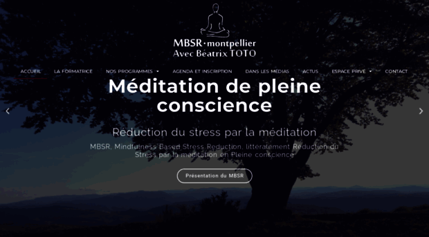 mbsr-montpellier.com