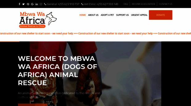 mbwa-wa-africa.org