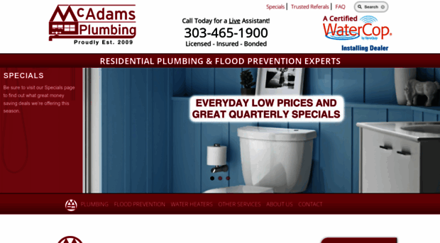 mcadamsplumbing.com