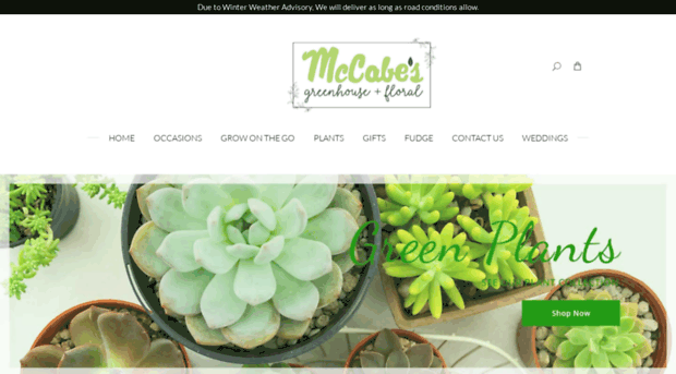 mccabesgreenhouseandfloral.com