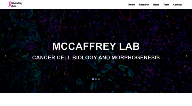 mccaffreylab.mcgill.ca