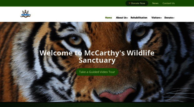 mccarthyswildlife.com