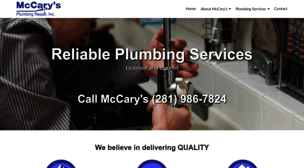 mccarysplumbingrepair.com