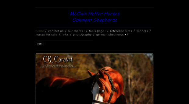 mcclainhalterhorses.com